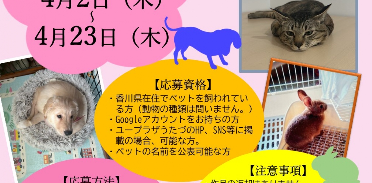 4月2日～4月23日にユープラザうたづのエントランスホールで第3回ペット写真展を開催。展示写真を3月15日まで受付中。
香川県でペットを飼われている方ならどなたでも応募可能だ。
HP（https://uplaza-utazu.jp/uplaza_post/4521/）