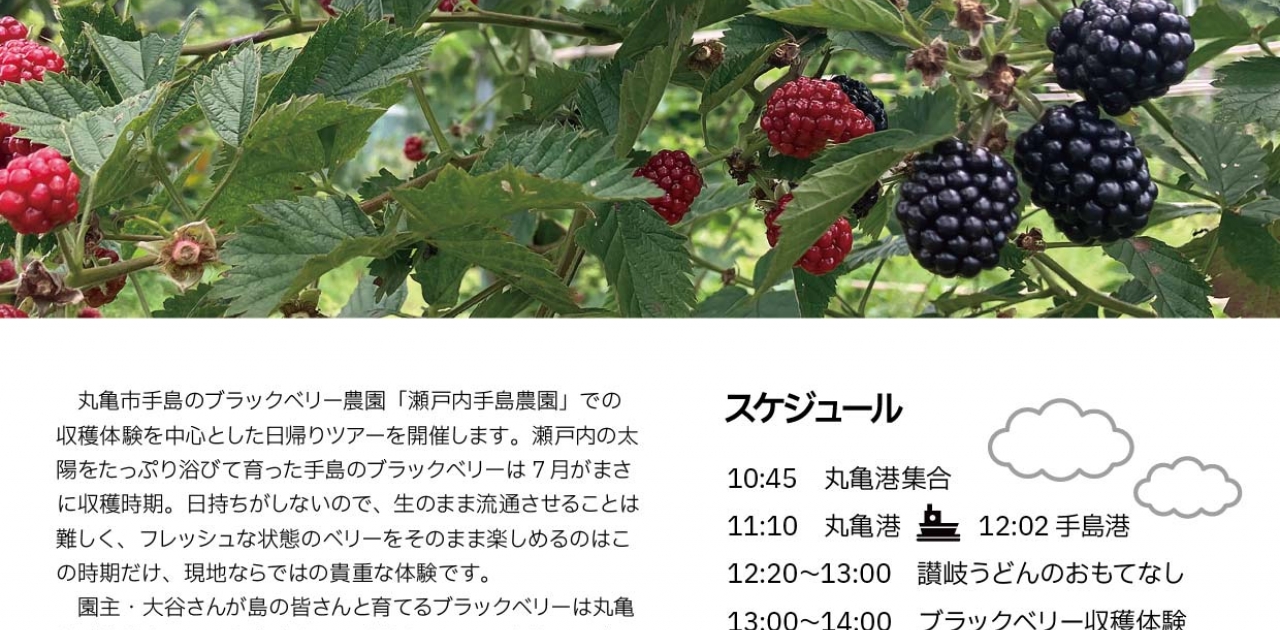 丸亀市手島のブラックベリー農園での
収穫体験ツアーを初開催します！
日付：2025年7月26日（土）
時間：10：45～17：15
対象：小学生とその保護者
旅行代金：大人　5,500 円・子ども 4,500 円
詳しくは丸亀市観光協会ＷＥＢサイトをご確認ください。