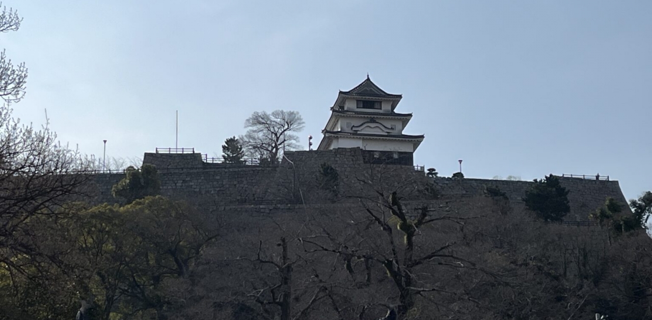 丸亀市の木って何か知ってる？