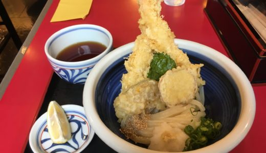 本格うどん おか泉の自慢の一品、ひや天おろし画像
