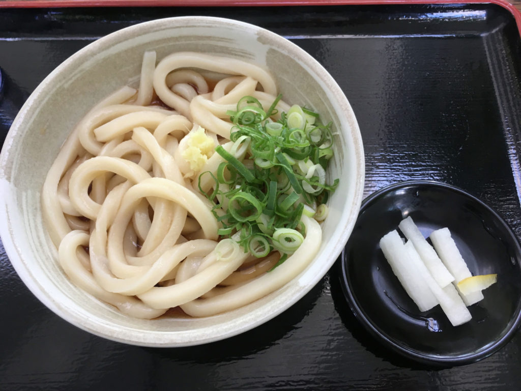 多度津町にある、根ッ子うどんの、植物園風の店内で自然を味わいながら食べられる絶品ぶっかけうどん画像