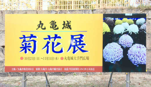 「第47回 丸亀城菊花展」に行ってきたよ！色とりどりの菊が整然と並んでいる様は圧巻の一言