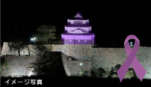 11月19日(月)「丸亀城天守閣 パープルライトアップ試験点灯」