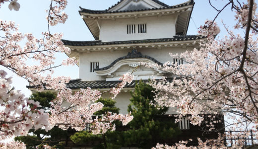 【2019年】丸亀城桜まつりの臨時駐車場