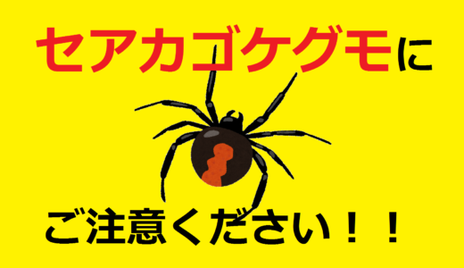 「セアカゴケグモ」にご注意ください!! 丸亀市周辺での発見が相次ぐ