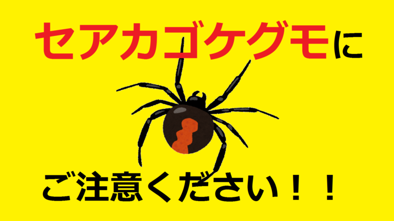 「セアカゴケグモ」にご注意ください!! 丸亀市周辺での発見が相次ぐ