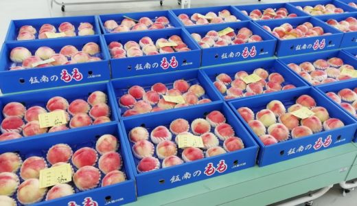 飯山の桃は今が食べごろって知ってた？ 7月14日(日)には「第14回桃喰うまつり」開催！