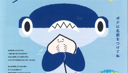 「四国水族館」が公式マスコットキャラクターの愛称を募集してる。かくれんぼが得意なシュモクザメの男の子の名付け親になろう！