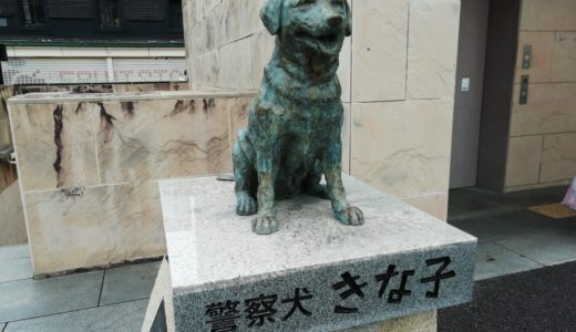 【まるつークイズ】警察犬きな子の孫娘の(昔の)名前は何？