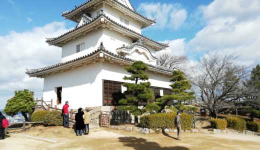 新春の丸亀城に登ってきた。天気も良くて、今年はいいことありそう！