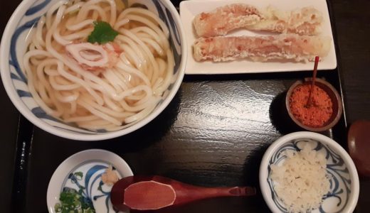 福島町にある「石川うどん」の『かけうどん＋観音寺産ちくわの天ぷら』国産小麦のブレンドを使用したツルツルもちもち感が楽しめる