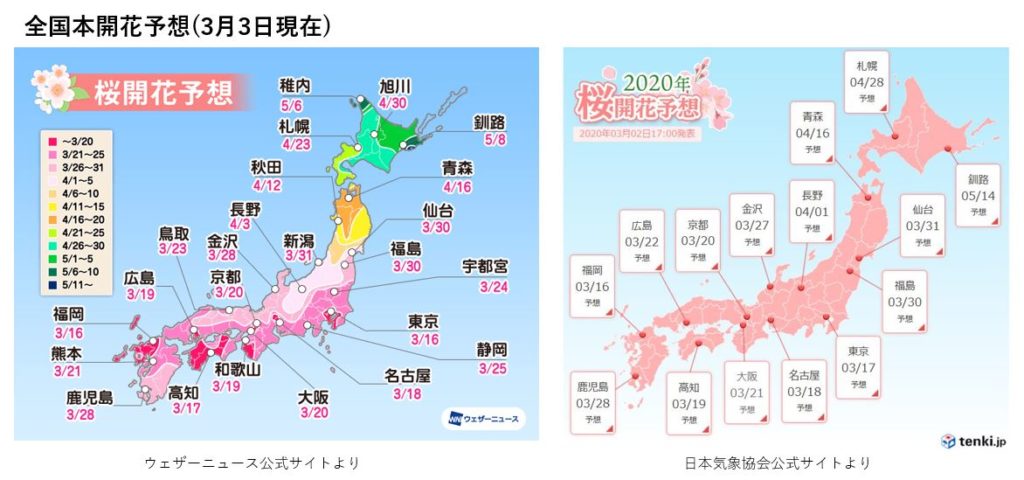 全国　桜開花予想