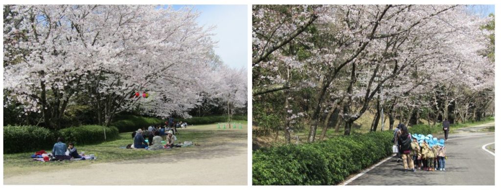 満濃池森林公園