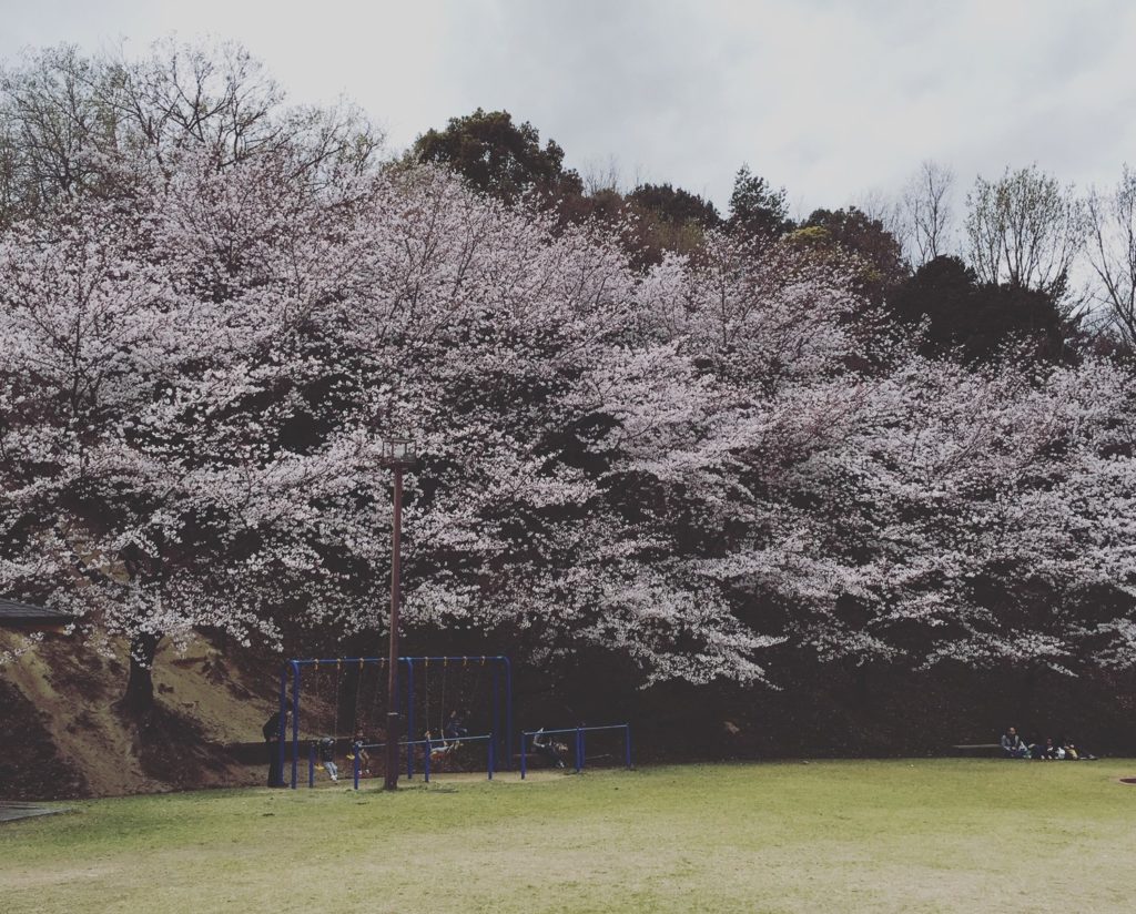 飯山総合運動公園