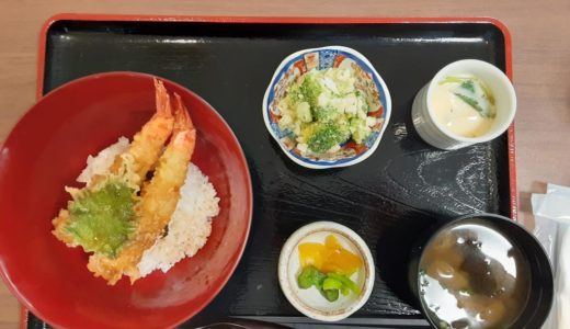 中府町にある「ごはん処しまなみ」の『えび天丼セット』