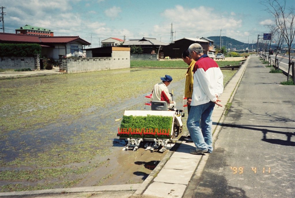 れんげ街道 1999年