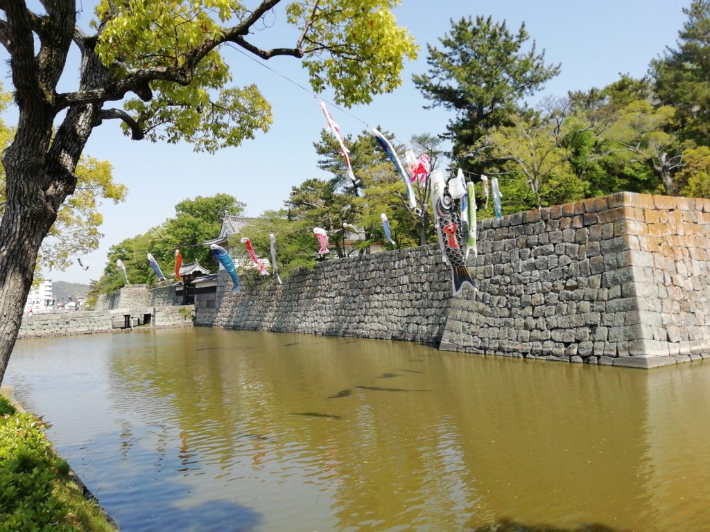 丸亀城 鯉のぼり