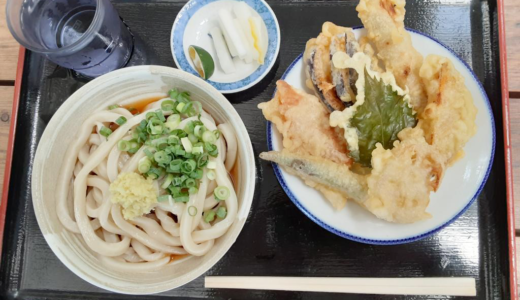 多度津町「根ッ子うどん」緑に囲まれた温室の中で食べられる『つめたいぶっかけ』と『天ぷら盛合せ』