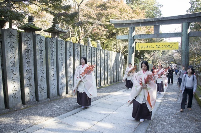 金刀比羅宮 紅葉祭