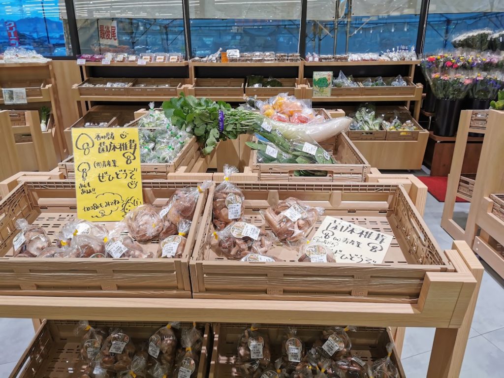 綾歌町 ピカソこんぴら街道店