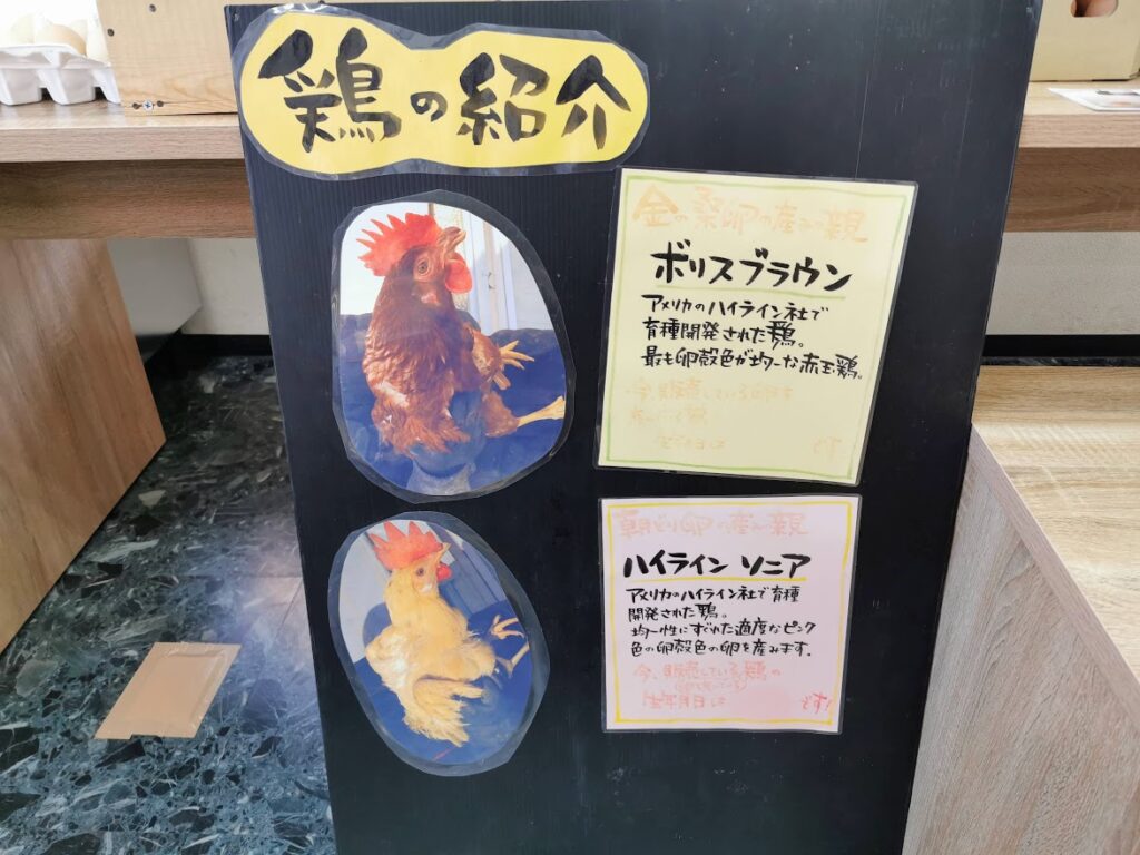 坂出市 かなたまキッチン 林田店