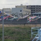 土器町西 土器川 こいのぼり