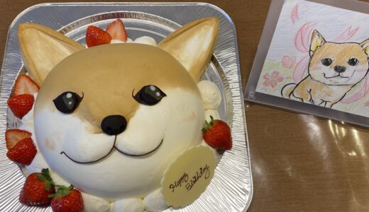 土器町東「ブラン」の『オーダー立体ケーキ』写真やイラストを可愛く再現したスイーツ