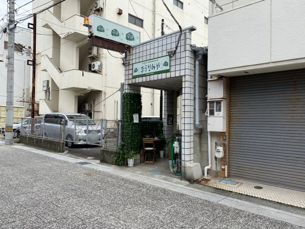 通町 爬虫類専門店 まるがめや