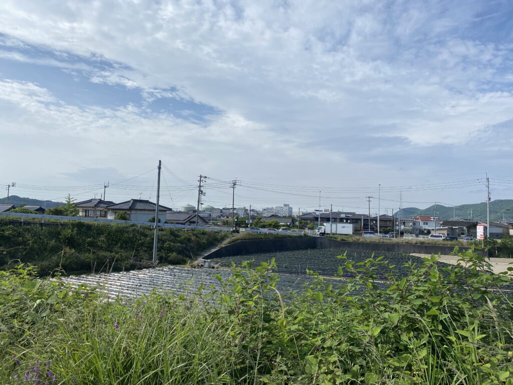 こだわり麺や 坂出林田店 周辺