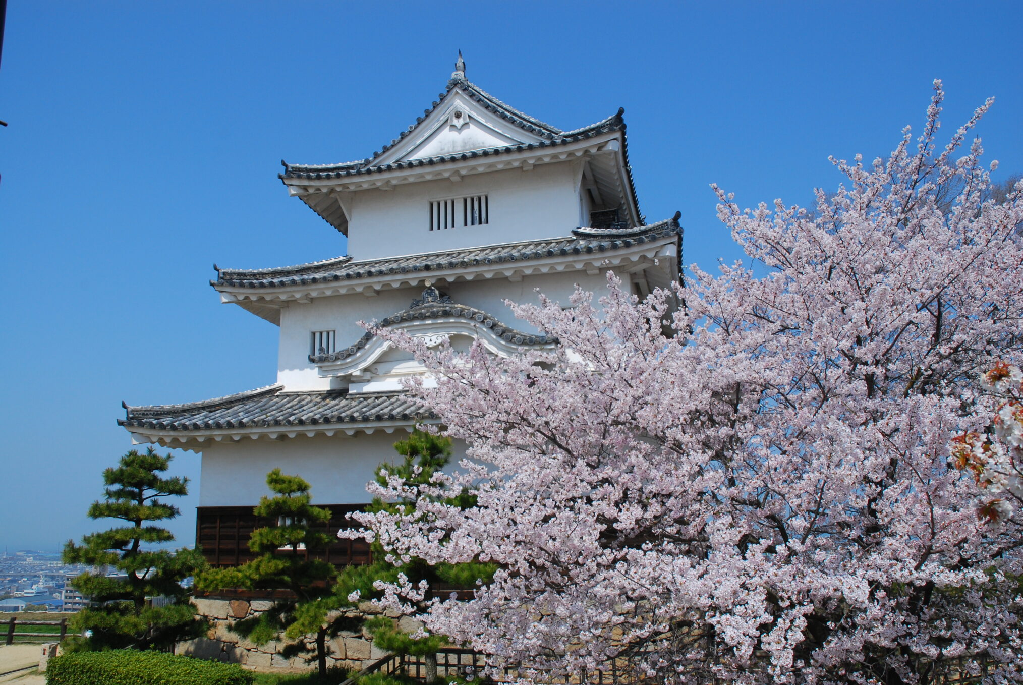 丸亀市 丸亀城 天守閣