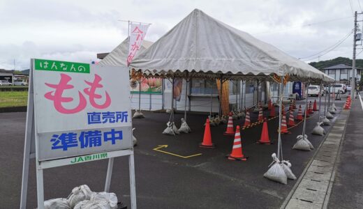 飯山町の「JA香川飯南産直 桃直売所」で『飯南の桃』の販売がスタートしてる