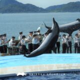 自衛隊×四国水族館コラボイベント