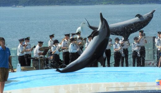 四国水族館で自衛隊とのコラボイベントを2021年7月31日(土)に開催するみたい