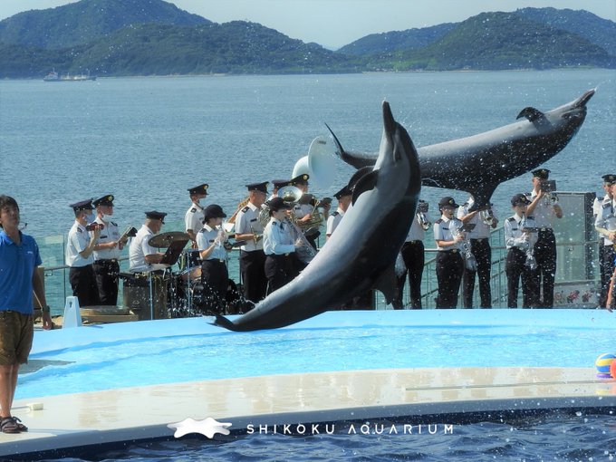 自衛隊×四国水族館コラボイベント