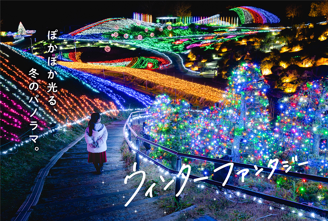 国営讃岐まんのう公園 ウィンターファンタジー