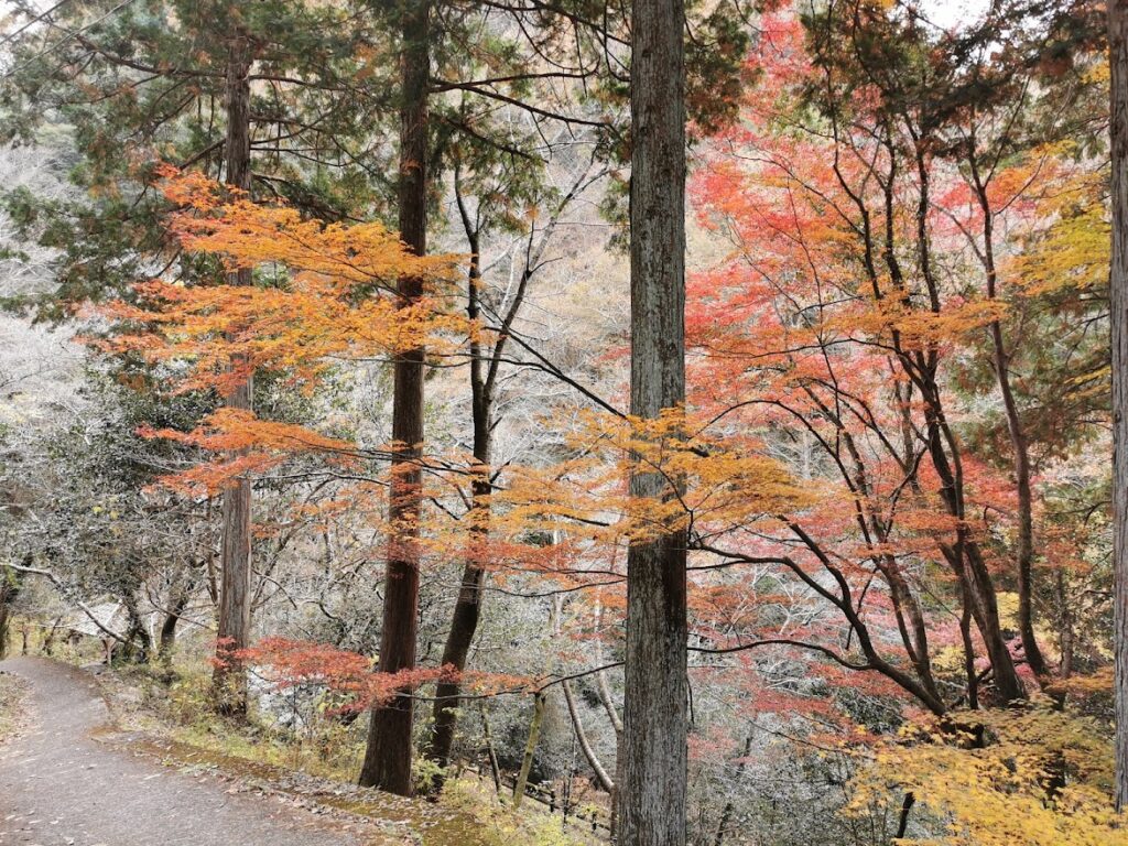 まんのう町 三霞洞渓谷