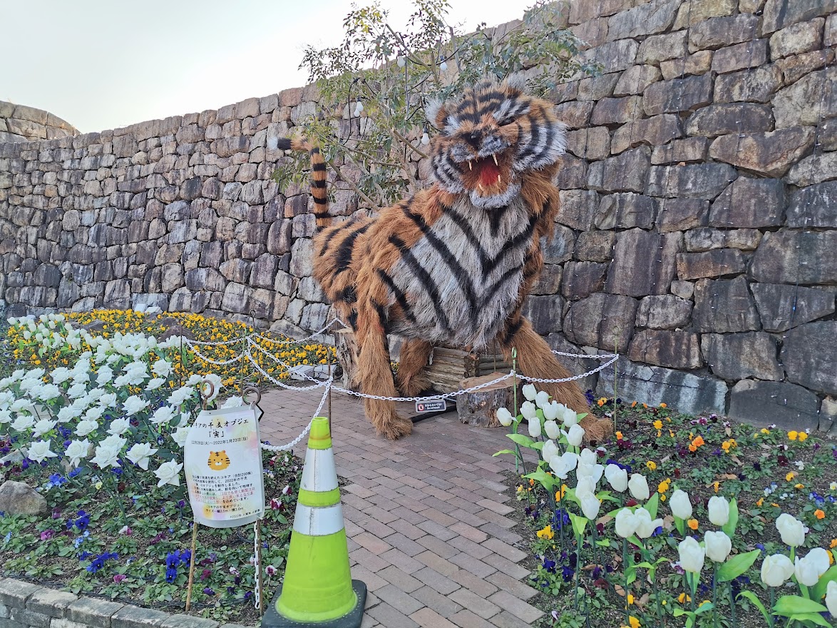 国営讃岐まんのう公園 コキアの干支オブジェ 寅