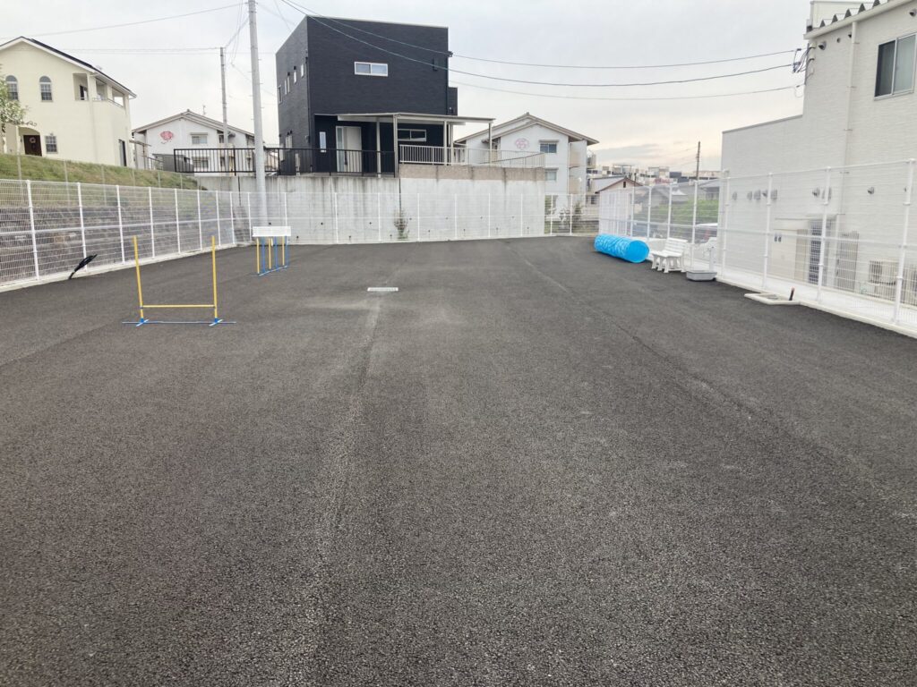 綾川町 みらい動物病院 ドッグラン