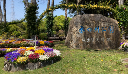 坂出市「番の州公園」季節によって折々の花が楽しめる公園。梅雨の時期はアジサイ祭りも開催【動画あり】