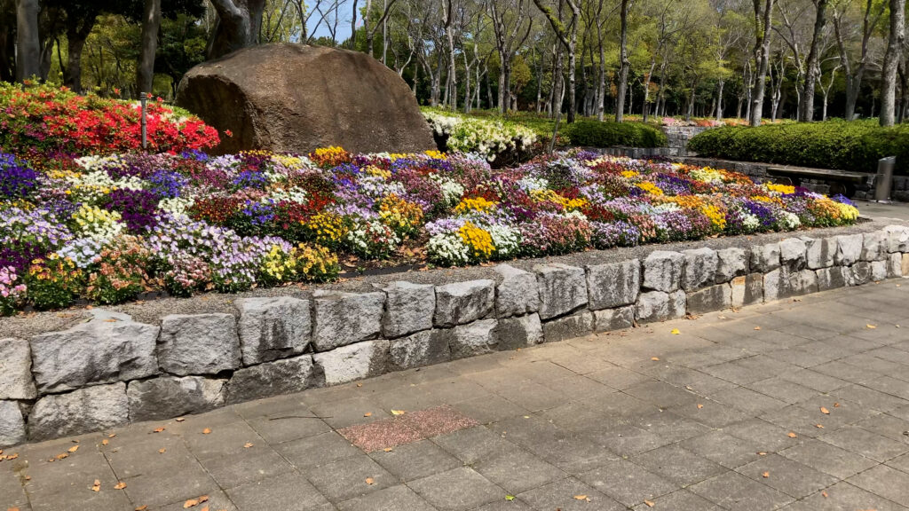 坂出市 番の州公園 花壇