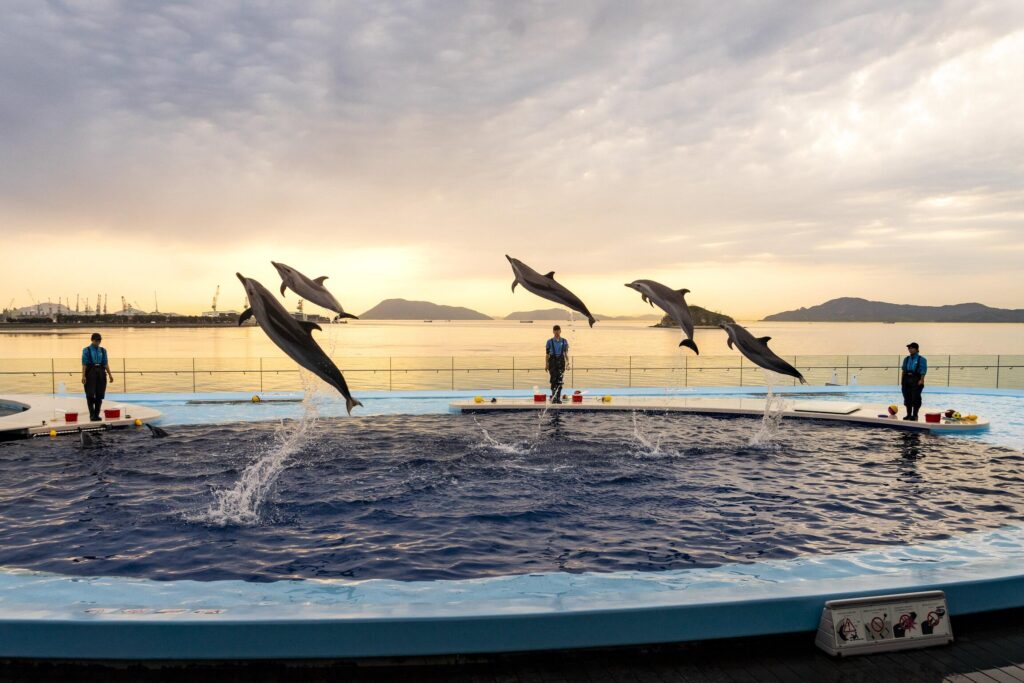 四国水族館 Nightscapeこがねいろ2022