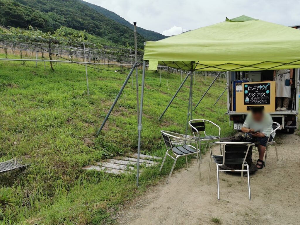 善通寺市 深山のキウイ たっぷりキウイのミルクアイス