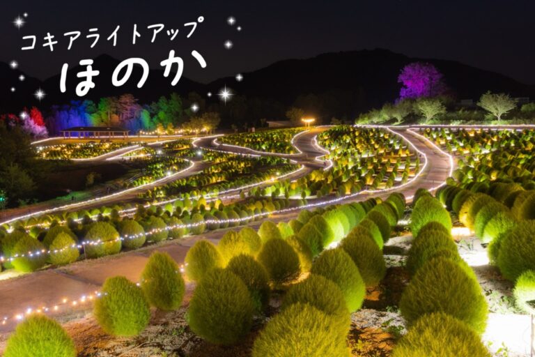 国営讃岐まんのう公園で「コキアライトアップ ほのか」が2022年8月6日(土)〜2022年8月14日(日)まで開催されるみたい