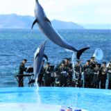 宇多津町 四国水族館×陸上自衛隊第14音楽隊コラボイベント