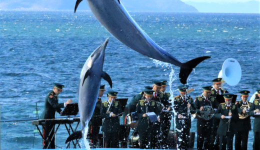 四国水族館で「四国水族館×陸上自衛隊第14音楽隊コラボイベント」が2022年9月23日(金・祝)に開催される。1日限りの特別プログラム