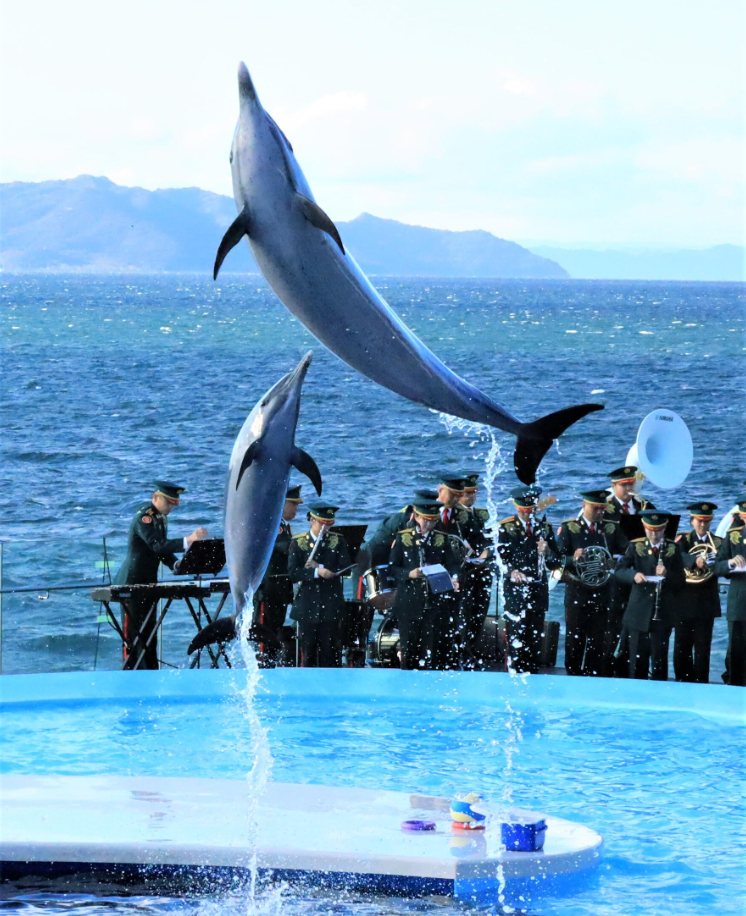 宇多津町 四国水族館×陸上自衛隊第14音楽隊コラボイベント