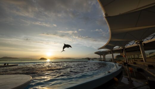 四国水族館が夕景のベストシーズンの2022年8月29日(月)〜9月30日(金)までは日の入りまで延長営業するみたい