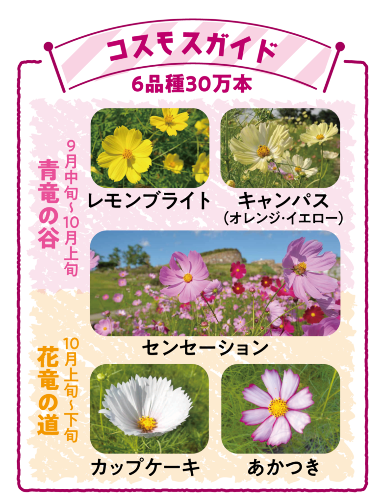 国営讃岐まんのう公園 秋！色どりフェスタ