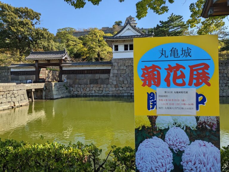 丸亀城大手門広場で「第51回丸亀城菊花展」が2022年10月21日(金)～11月13日(日)まで開園してる