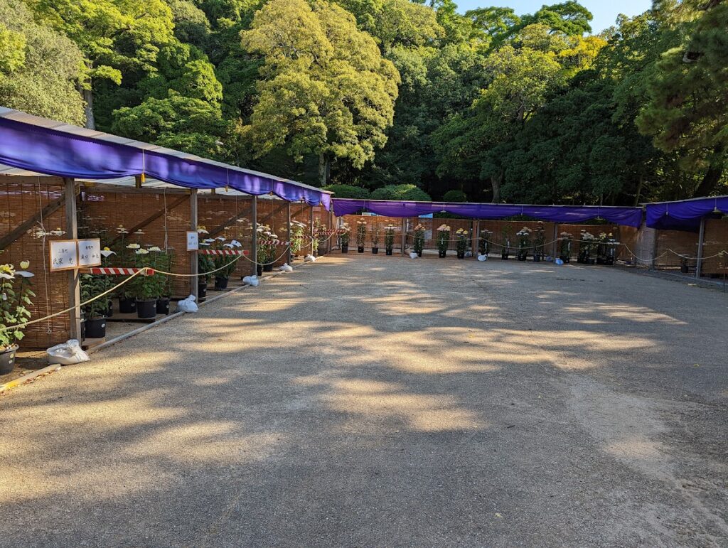 丸亀城 第51回丸亀城菊花展